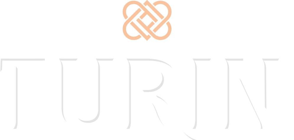 Turin Logo